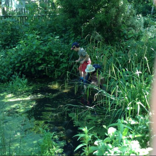 The school pond area
