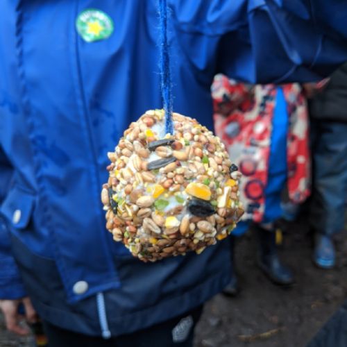 A pine cone bird feeder made by year 1