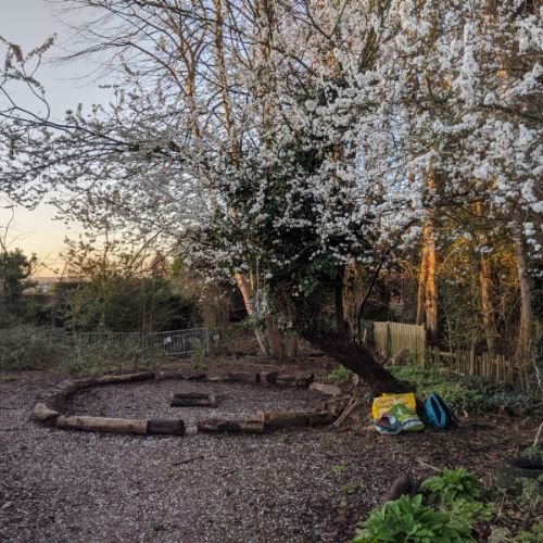 Spring has sprung in Forest School!