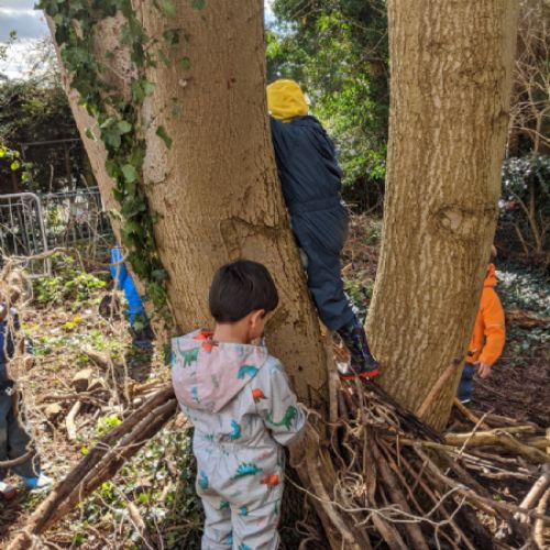 Butterfly Class den building