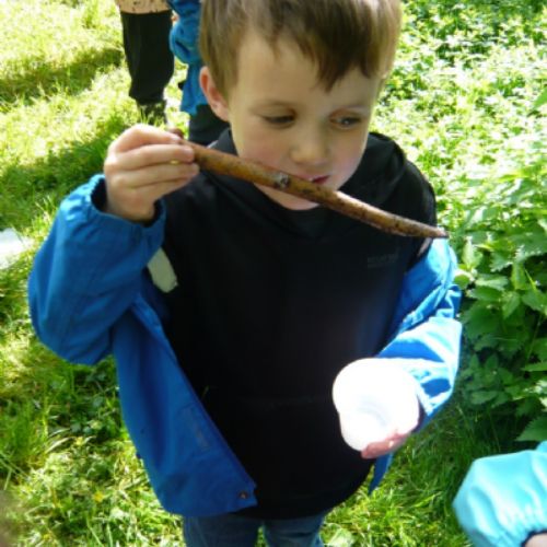 Finding nice smelling things for our perfumes