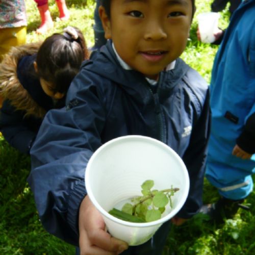 Learning about senses by making perfumes