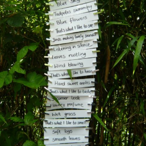 Ladybird Class' senses poem