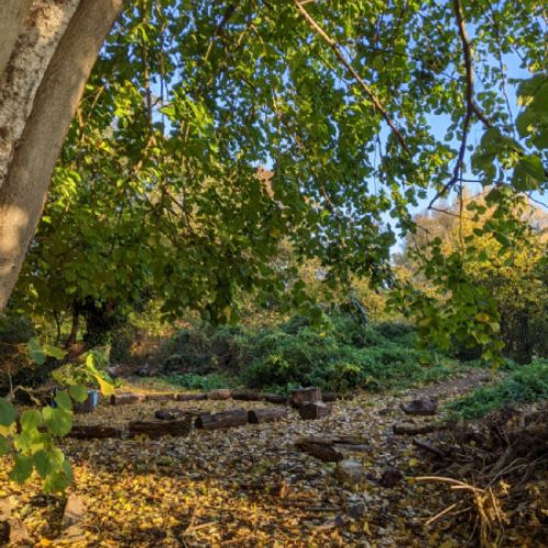 A beautiful sunny, frosty morning for year 1 today 