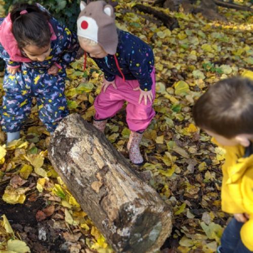 Reception hunting for minibeasts