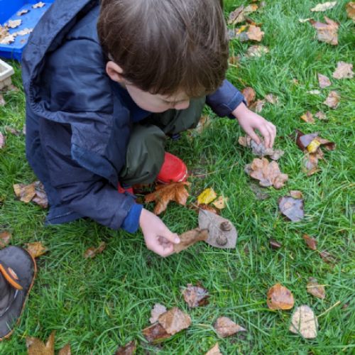 Butterfly class making leaf pictures