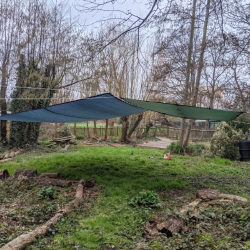 So excited to be back for more Forest School!  Our  camp in the pond area kept us dry.