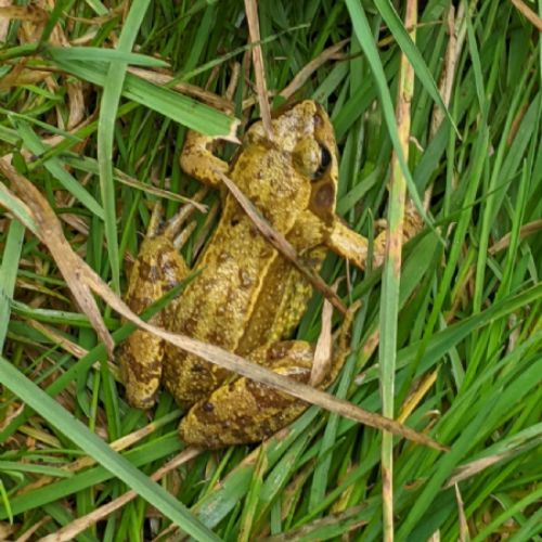 We had a visitor as we were sat on the grass!