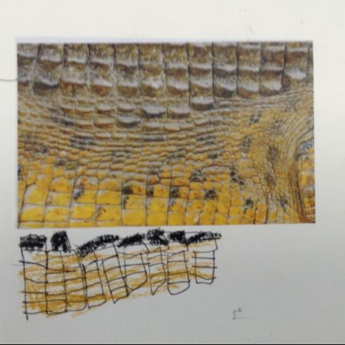 Y2 Exploring texture