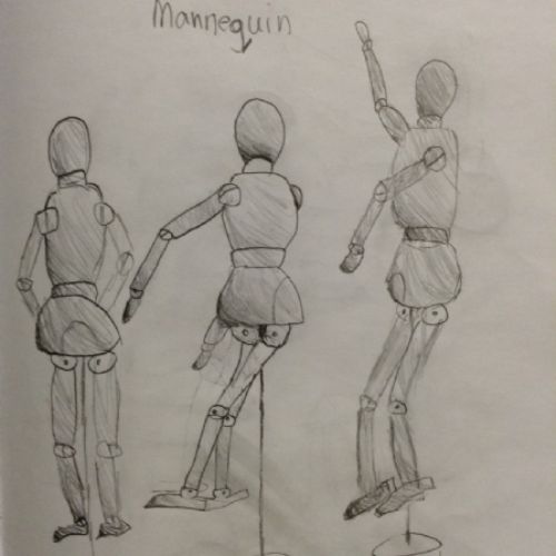 observational drawing